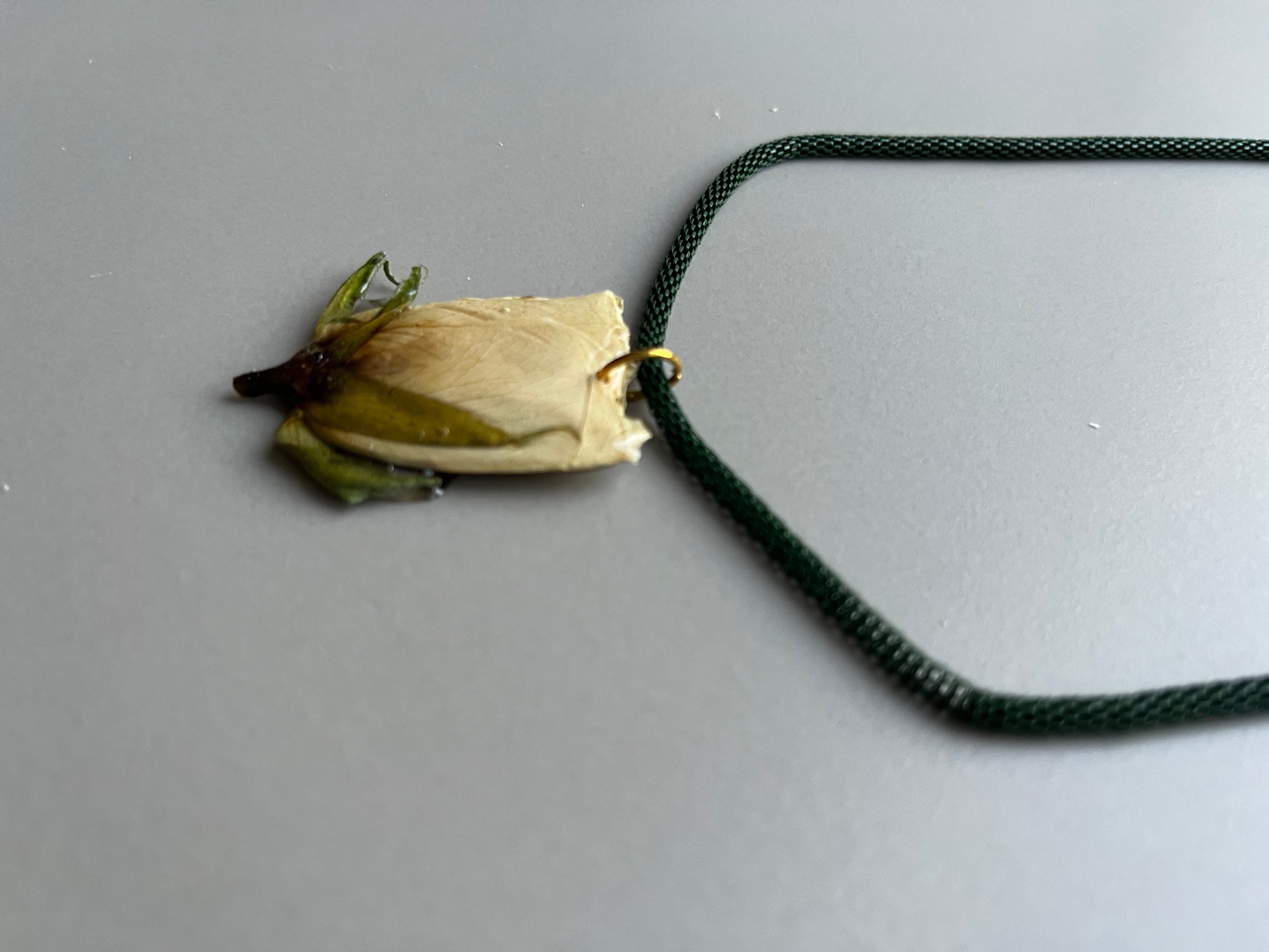 Collar corto rosa pequeña perfil