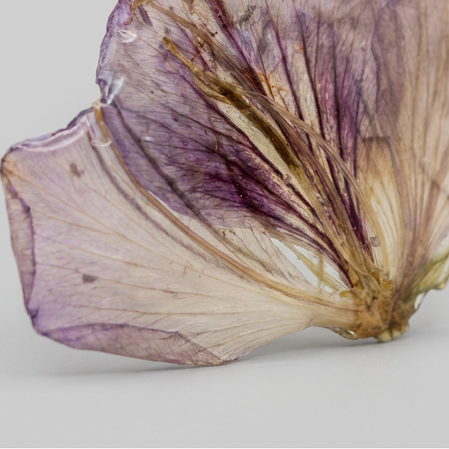 Collar corto flor malva